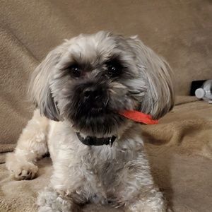 Meet your Posher, Steve